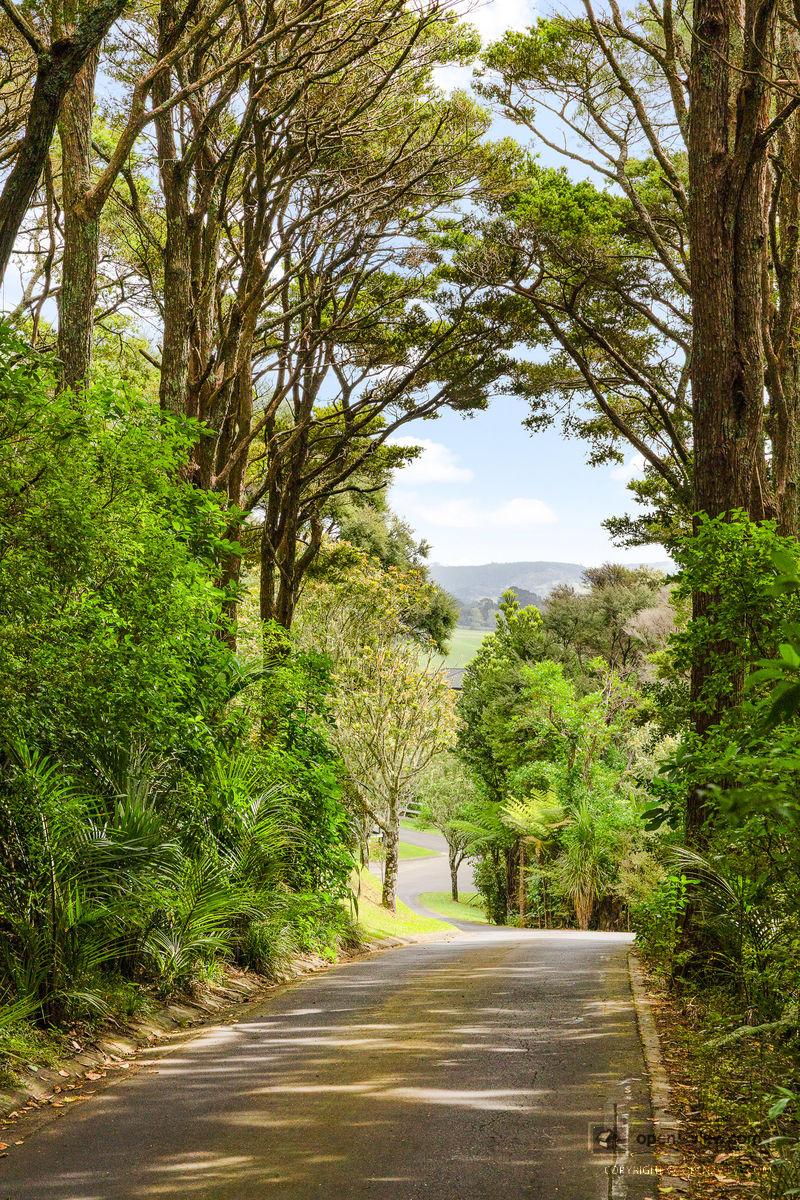 Slider image of 101 Taylor Road, Auckland