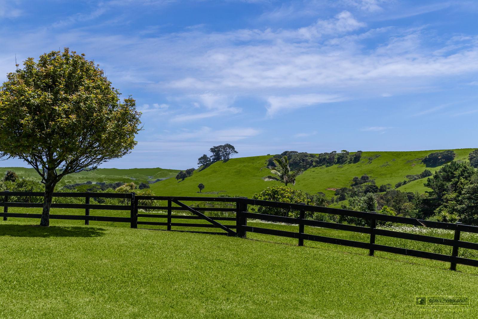 Slider image of 101 Taylor Road, Auckland