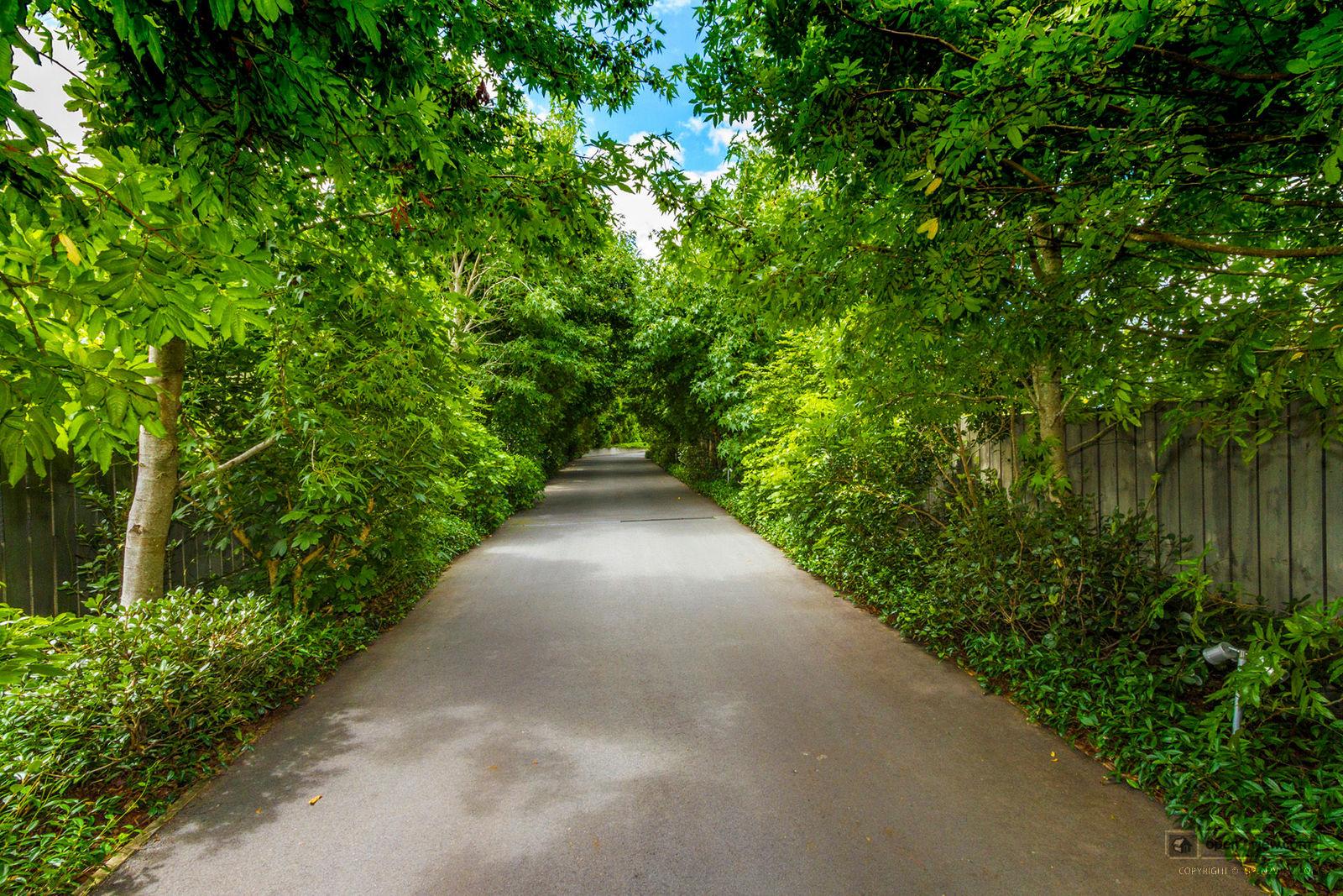 Slider image of 35 View Road, Auckland