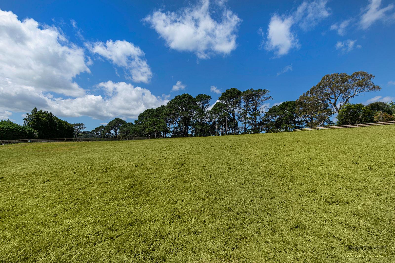 Slider image of 119 Wake Road, Auckland