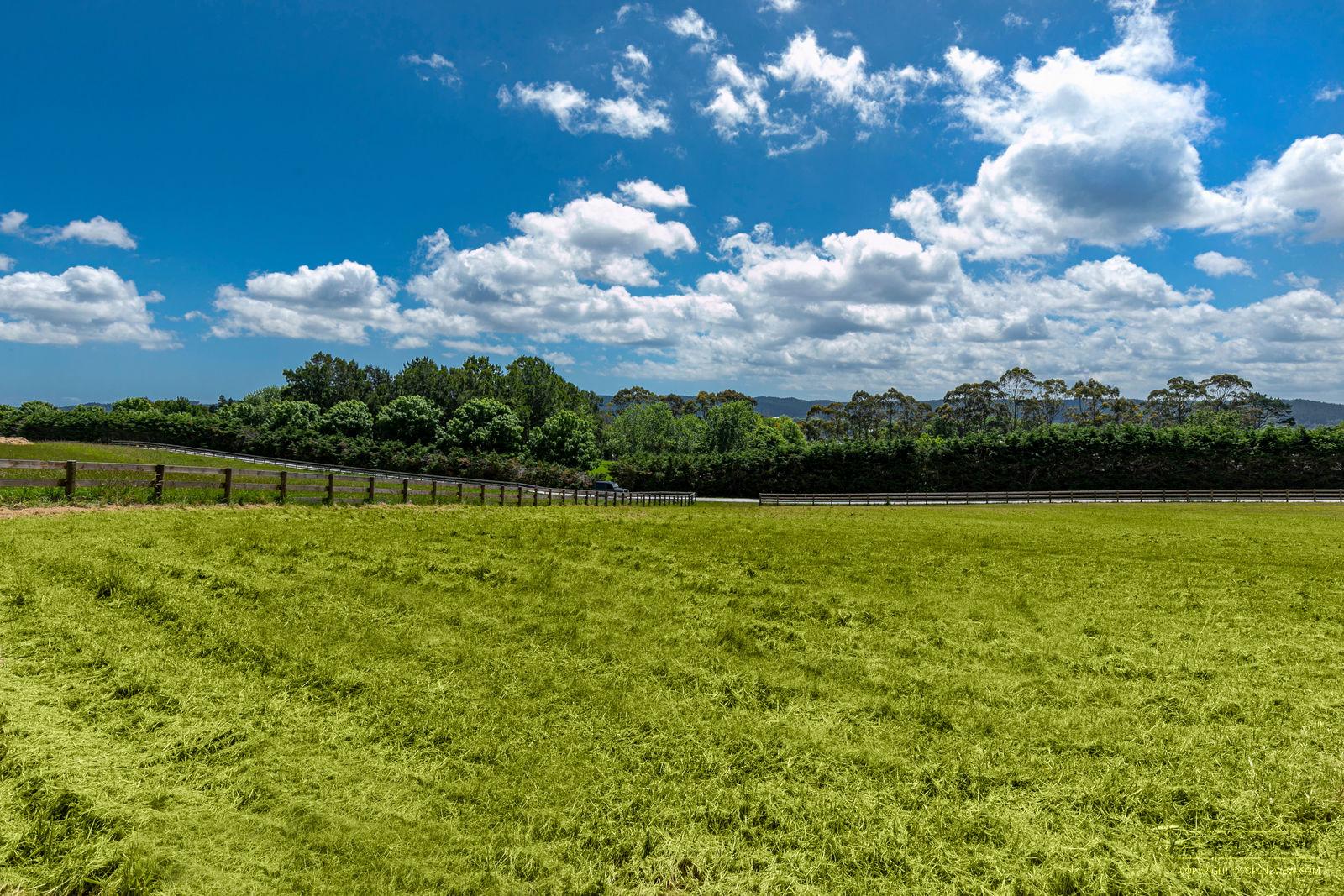 Slider image of 119 Wake Road, Auckland