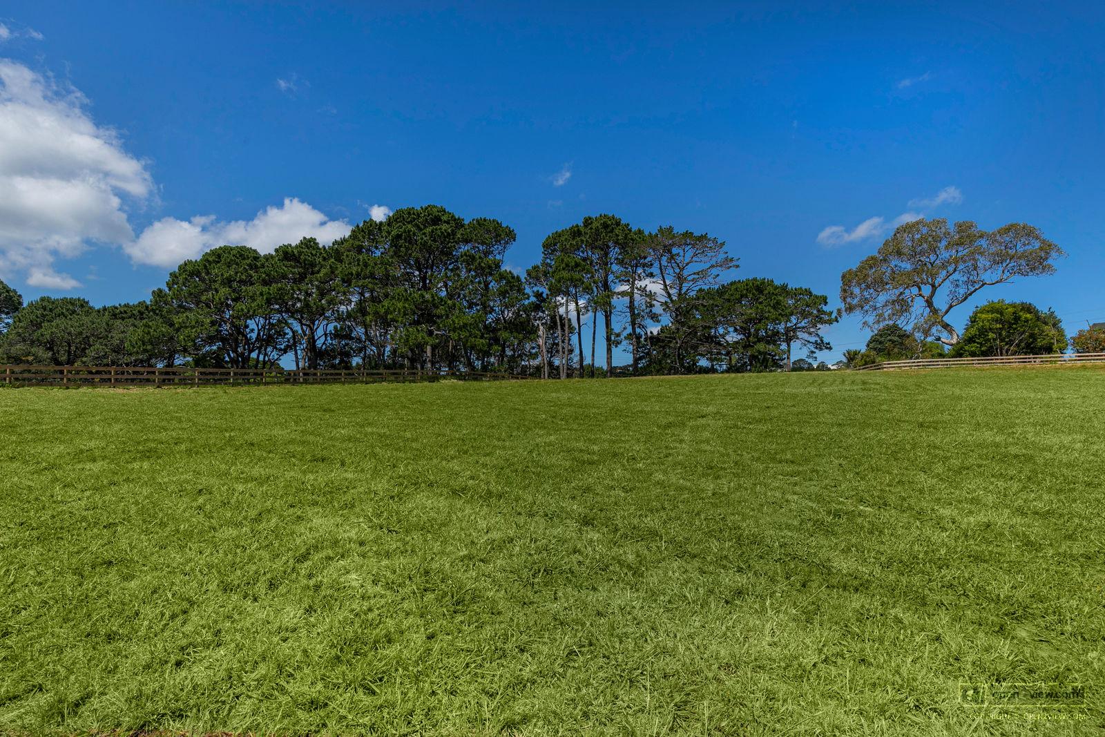 Slider image of 119 Wake Road, Auckland