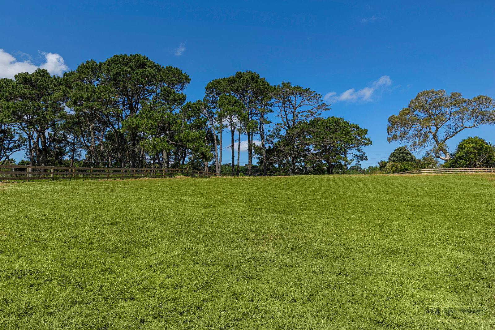 Slider image of 119 Wake Road, Auckland