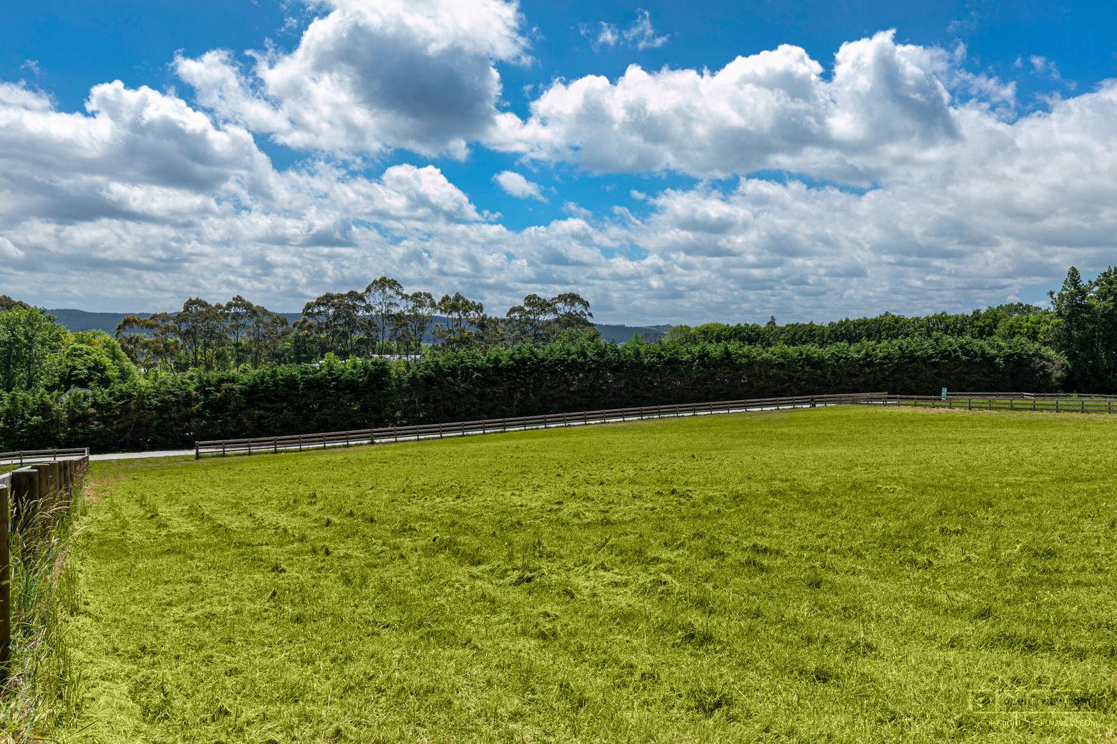 Slider image of 119 Wake Road, Auckland