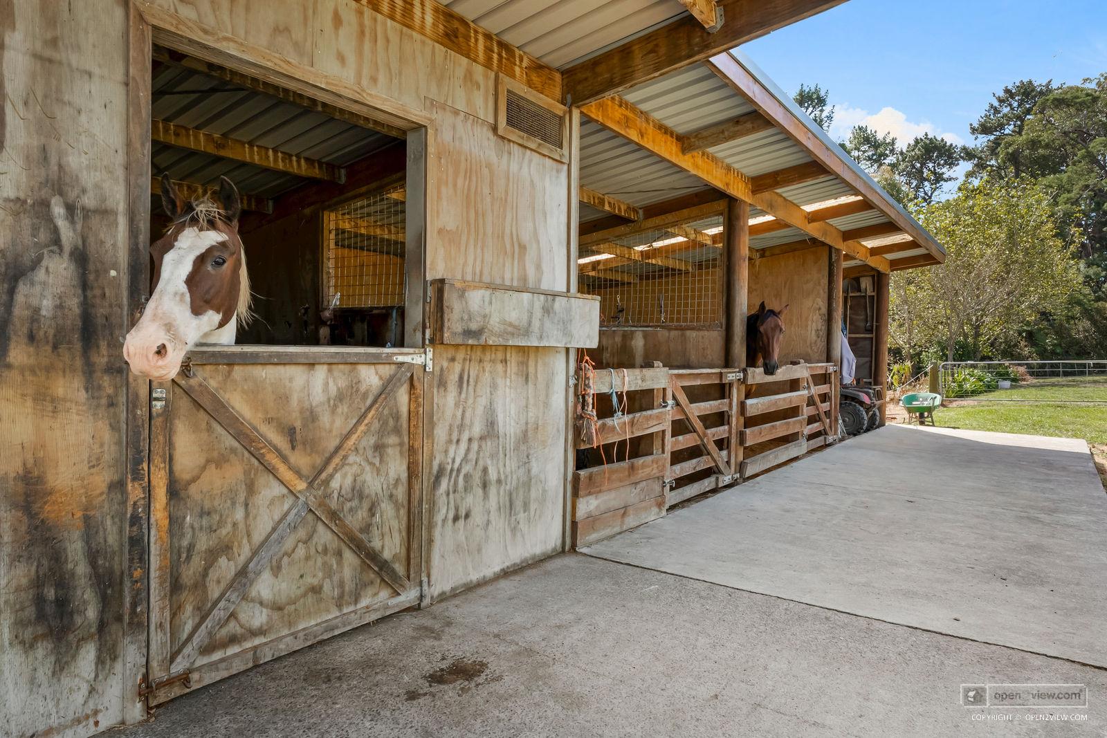 Slider image of 206 Trigg Road, Auckland
