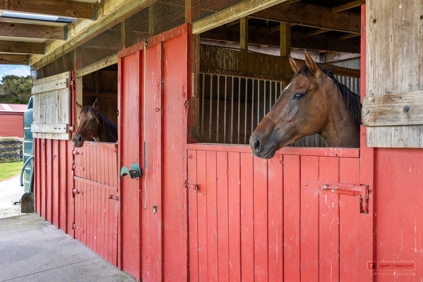 Slider image of 145 Hanham Road, Auckland