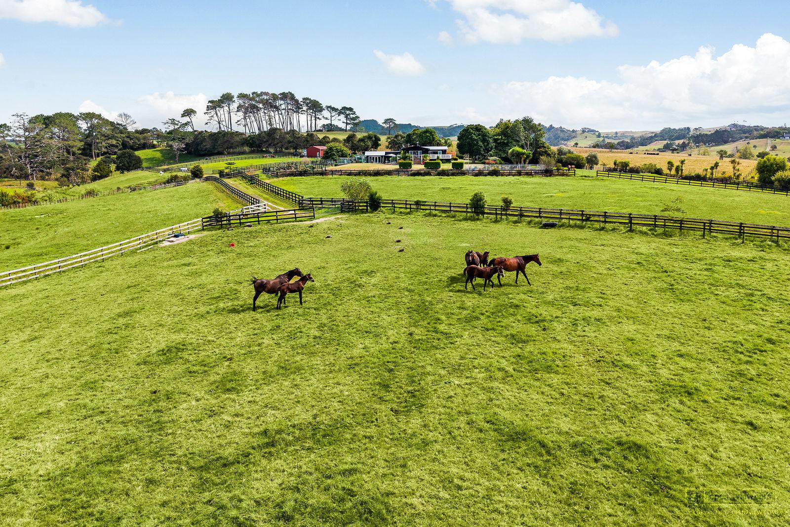 Slider image of 145 Hanham Road, Auckland