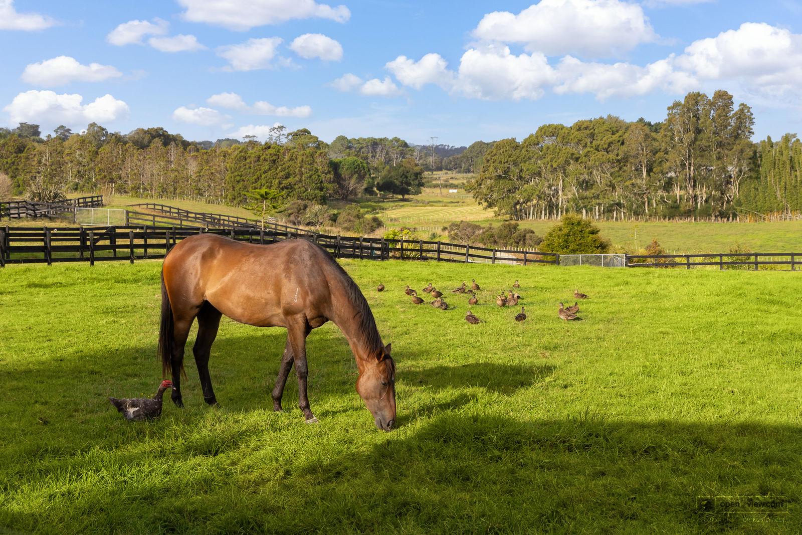 Slider image of 145 Hanham Road, Auckland