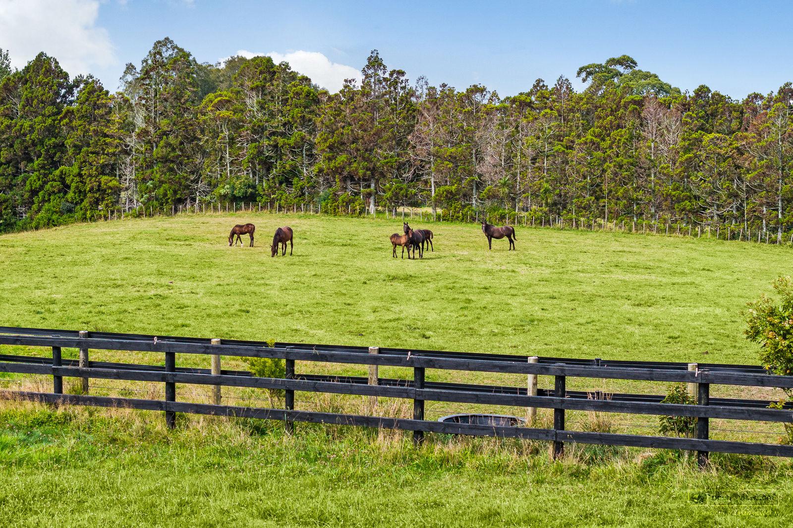 Slider image of 145 Hanham Road, Auckland