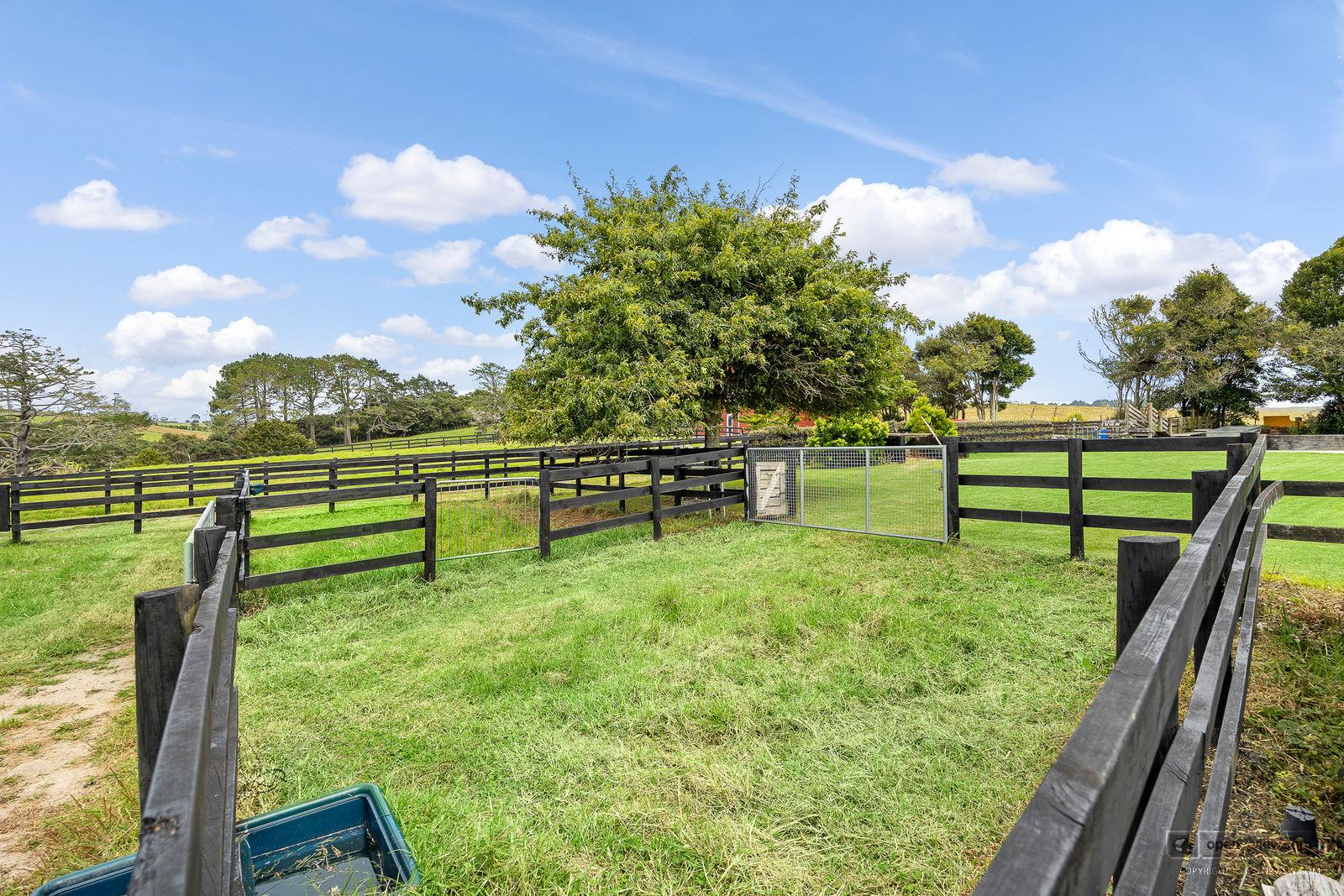 Slider image of 145 Hanham Road, Auckland