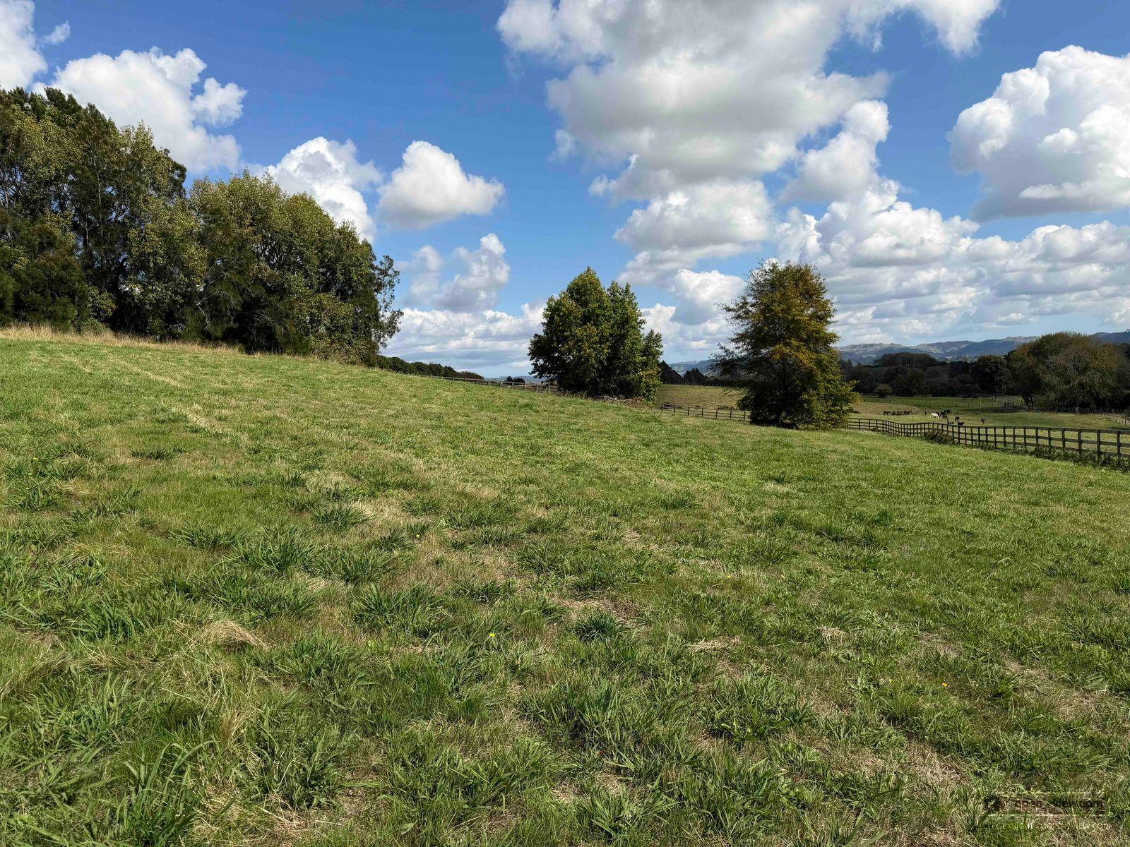 Featured image of 216 Gillard Road, Waikato