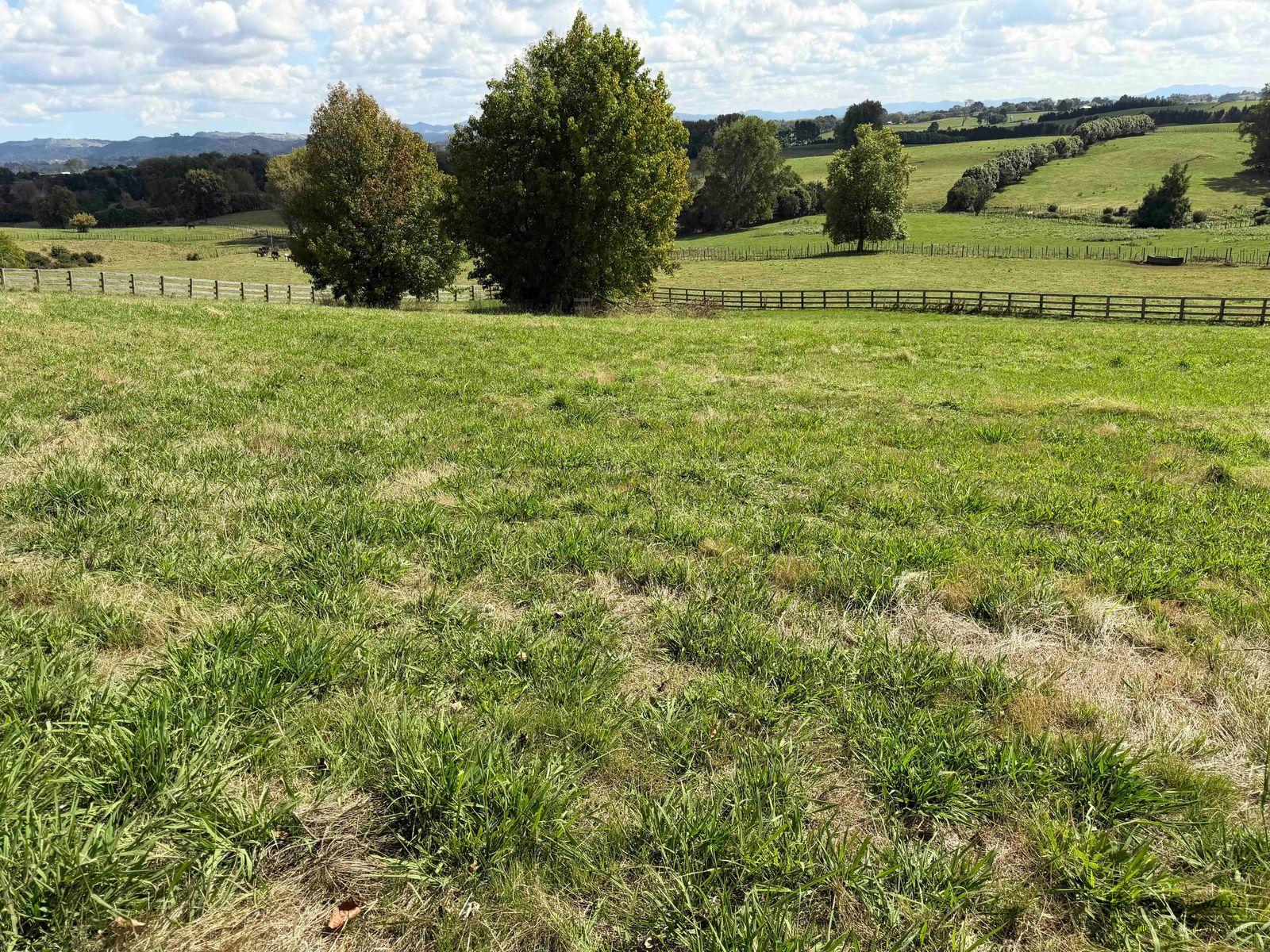 Slider image of 216 Gillard Road, Waikato