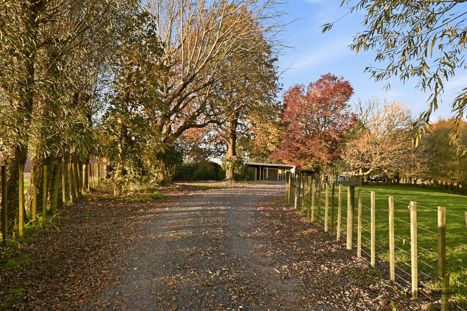 Slider image of 828 Ridge Road, Auckland