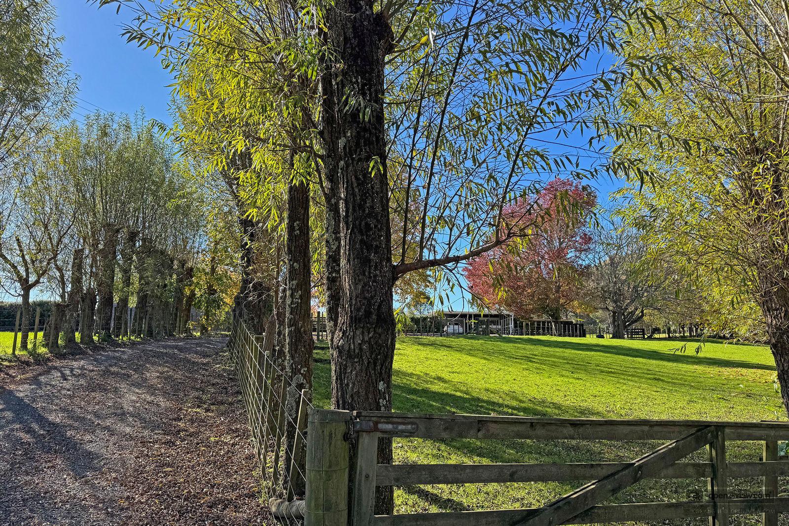Slider image of 828 Ridge Road, Auckland