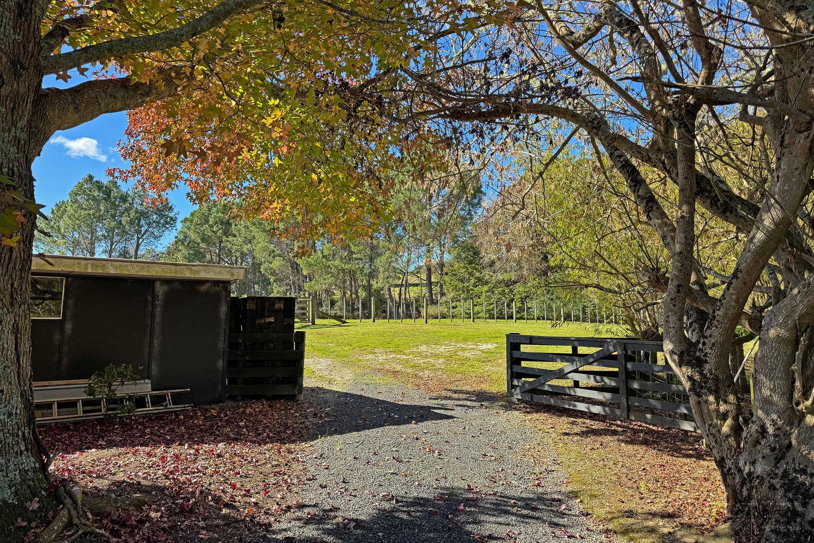 Slider image of 828 Ridge Road, Auckland