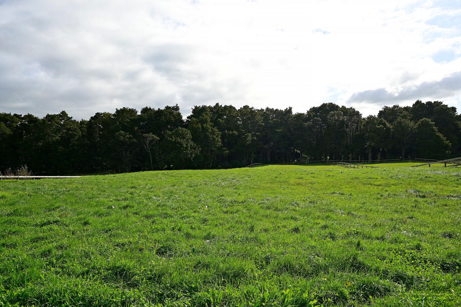 Slider image of 359 Waitoki Road, Auckland
