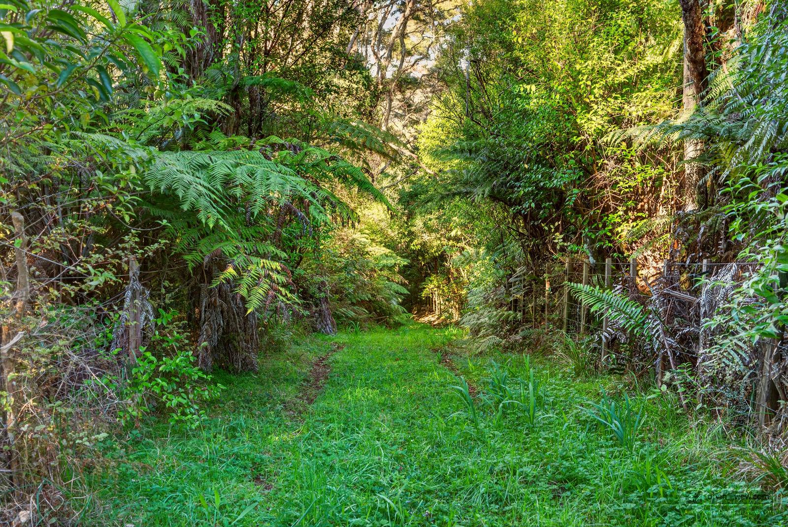 Slider image of B/37 Robinson Road, Auckland