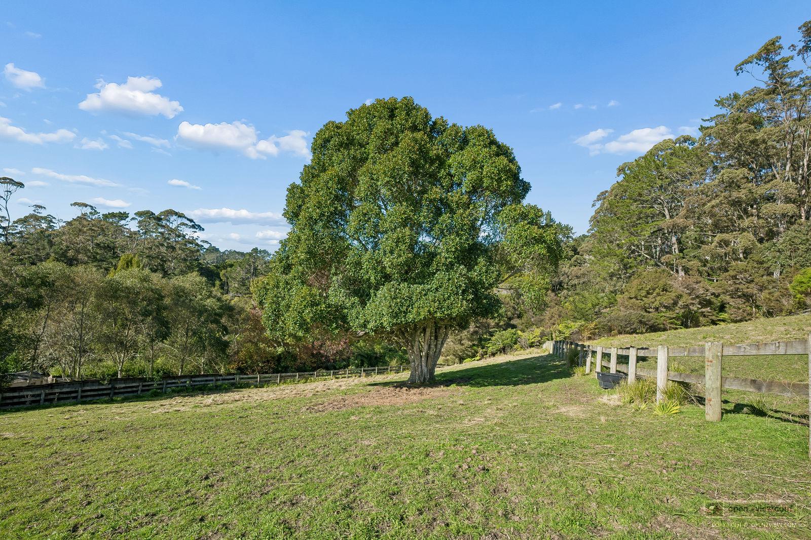 Slider image of 78 Screen Road, Auckland