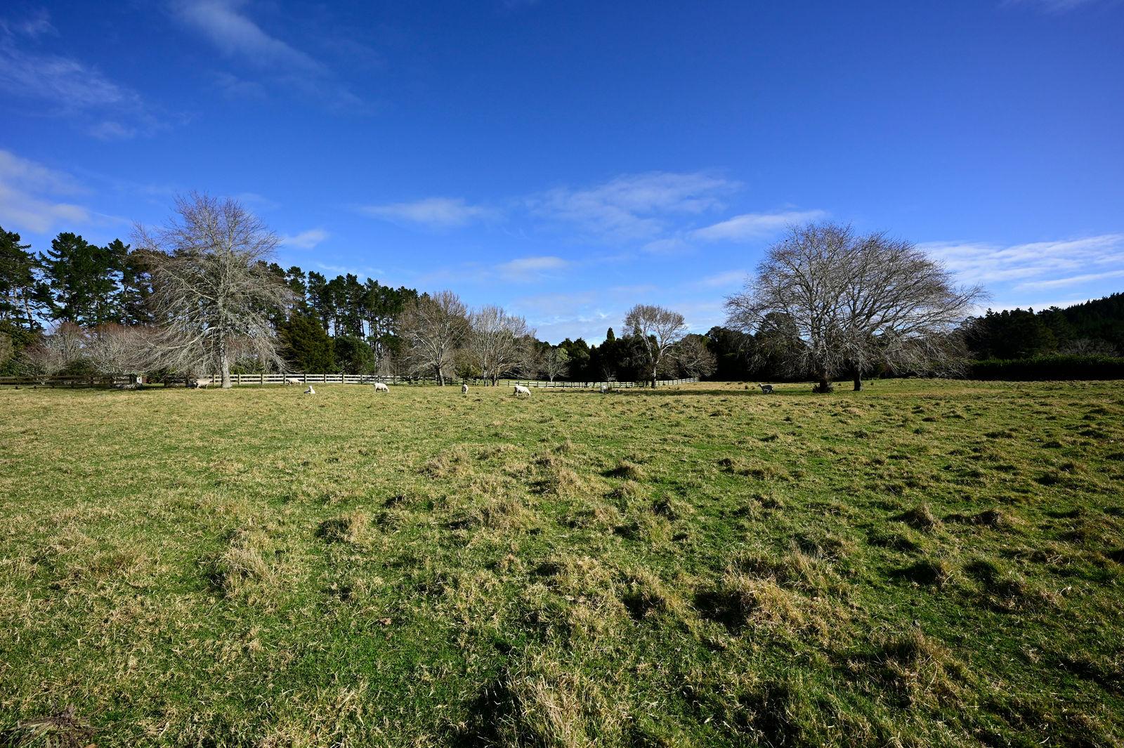 Slider image of 69 & 69A Croft Lane, Auckland